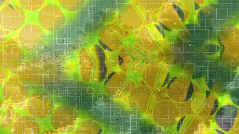 Minimalist Soft Light Motion Design - Elegant Abstract Pattern Stock Footage 325816536