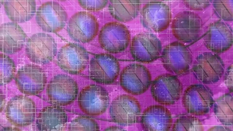 Minimalist Soft Light Motion Design - Elegant Abstract Pattern Stock Footage 325816765