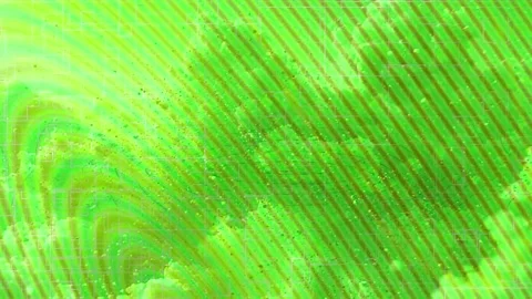 Minimalist Soft Light Motion Design - Elegant Abstract Pattern Stock Footage 325818167