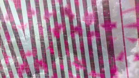 Minimalist Soft Light Motion Design - Elegant Abstract Pattern Stock Footage 325818288