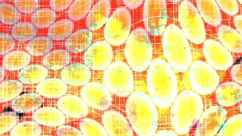 Minimalist Soft Light Motion Design - Elegant Abstract Pattern Stock Footage 325840384