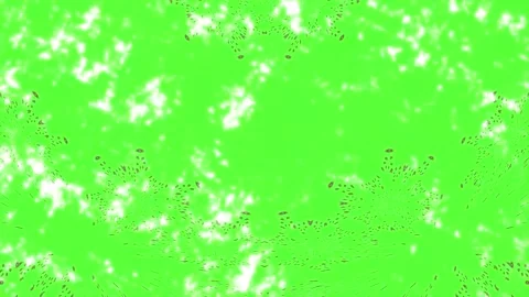 Minimalist Soft Light Motion Design - Elegant Abstract Pattern Stock Footage 325869727