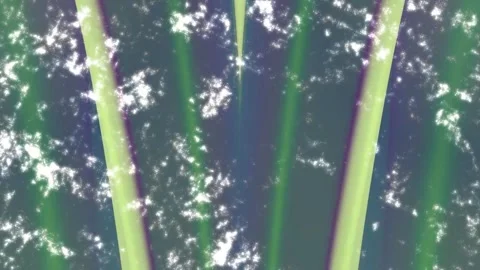 Minimalist Soft Light Motion Design - Elegant Abstract Pattern Stock Footage 325872135