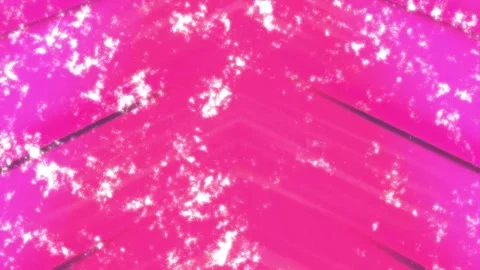 Minimalist Soft Light Motion Design - Elegant Abstract Pattern Stock Footage 325872278