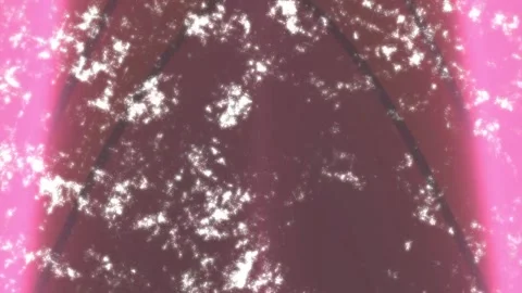 Minimalist Soft Light Motion Design - Elegant Abstract Pattern Stock Footage 325872590