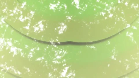 Minimalist Soft Light Motion Design - Elegant Abstract Pattern Stock Footage 325872834