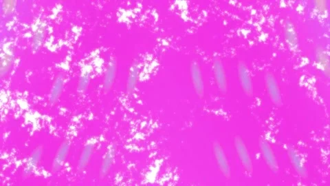 Minimalist Soft Light Motion Design - Elegant Abstract Pattern Stock Footage 325872866