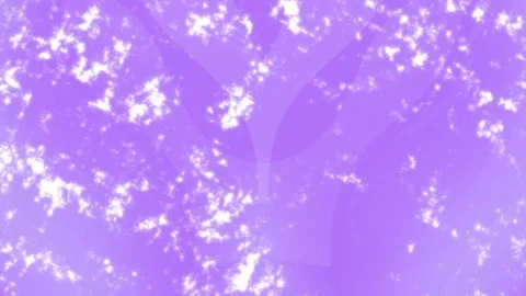 Minimalist Soft Light Motion Design - Elegant Abstract Pattern Stock Footage 325872874