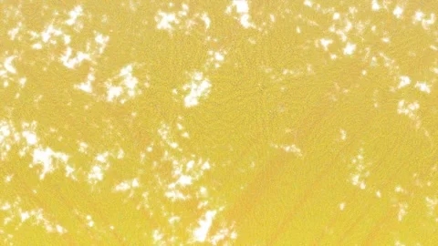 Minimalist Soft Light Motion Design - Elegant Abstract Pattern Stock Footage 325873003