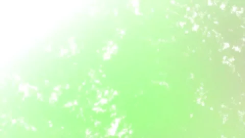 Minimalist Soft Light Motion Design - Elegant Abstract Pattern Stock Footage 325873513