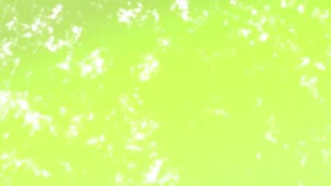 Minimalist Soft Light Motion Design - Elegant Abstract Pattern Stock Footage 325873686