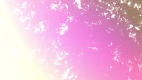 Minimalist Soft Light Motion Design - Elegant Abstract Pattern Stock Footage 325873708