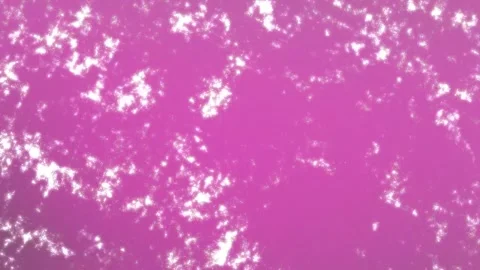 Minimalist Soft Light Motion Design - Elegant Abstract Pattern Stock Footage 325873803