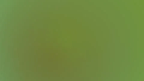 Minimalist Soft Olive Green Gradient Abstract Background for Design 库存插图