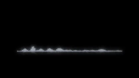 Minimalist Soundwave Visualization Animation, Simple Wave Animation with So.. Stock Footage 308023039