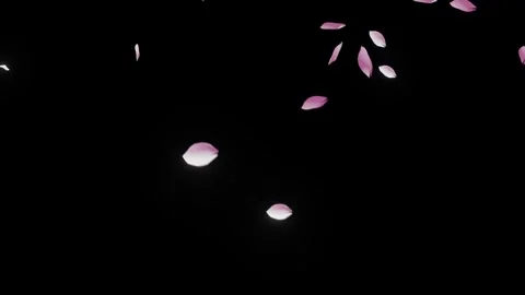 Minimalist Sparse Falling Petals Overlay for Clean Design 스톡 동영상 326195000