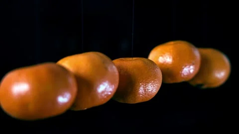 Minimalist spinning tangerines on invisible strings in black studio Stock Footage 321744235