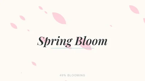 Minimalist Spring Bloom Background: Falling Pink Petal Floral Text Overlay .. Stock Footage 336805549