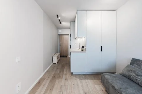 Minimalist Studio Apartment Interior With Compact Kitchenette, Hallway Entr.. Stock Photos