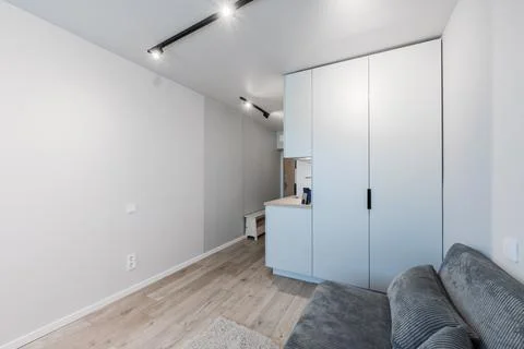 Minimalist Studio Apartment Interior With Compact Kitchenette, Hallway Entr.. Stock Photos