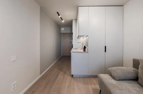 Minimalist Studio Apartment Interior With Compact Kitchen, Hallway Entrance.. Stock Photos