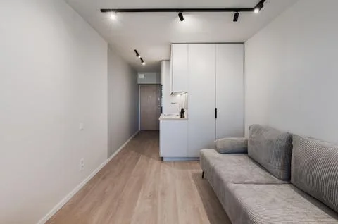 Minimalist Studio Apartment Interior With Compact Kitchen, Hallway Entrance.. Stock Photos