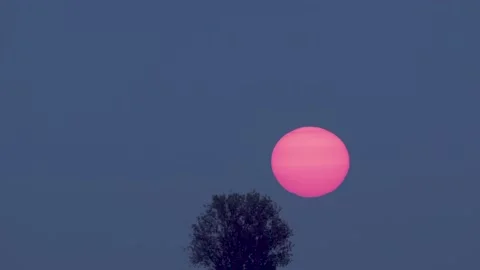 Minimalist Sunrise Video stock 142404302