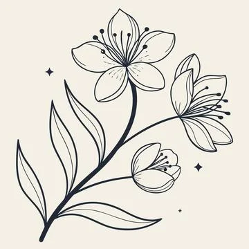 Minimalist Symmetrical Flower Pattern Vector Design Stock Illustration