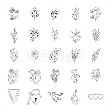 Set of flower and leaves illustration for floral kit vector graphic.  Creative element for design, tattoo, sticker, etc. Minimalist hand drawn  illustration for natural look design. 4586719 Vector Art at Vecteezy