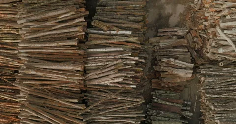 Minimalist Top Down Close Up of Rows of Stacked Logs at Forestry Site Stock Footage 346411561