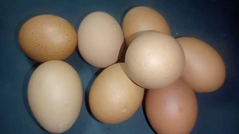 Minimalist top-down view of raw chicken eggs Stock Footage 336796332