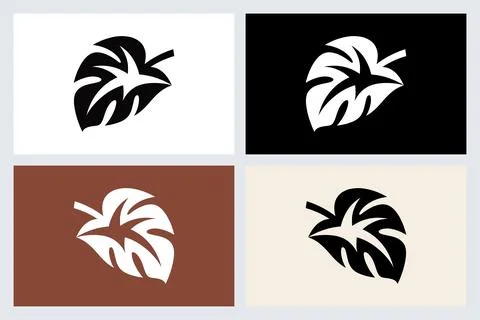 Minimalist Tropical Monstera Leaf Icon Set Ilustración de archivo