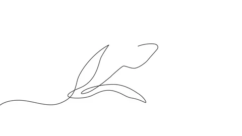 Minimalist tulip flower continuous line animation on white background, sing.. Stock Footage 346500720
