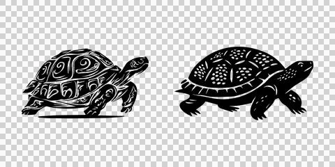Minimalist turtle graphics. Stock Illustration