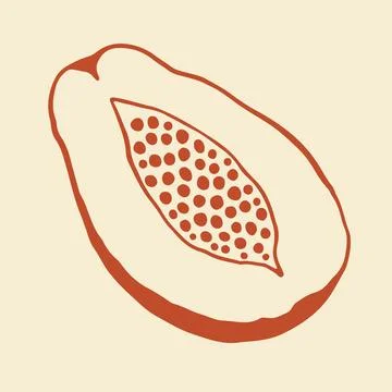A minimalist vector drawing of a sliced papaya fruit showing the inner seeds Stock Illustration