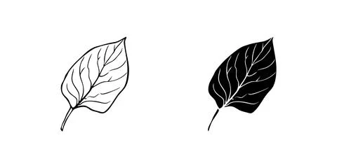 A minimalist vector icon set depicting leaves, perfect for nature and eco f.. Stock Illustration