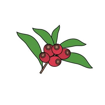 Minimalist vector illustration of a coffee branch with ripe red berries Stockillustratie