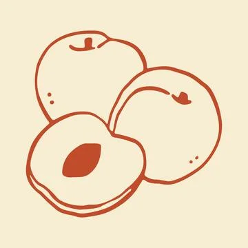 Minimalist vector illustration featuring whole plums and a sliced half with a Stock Illustration