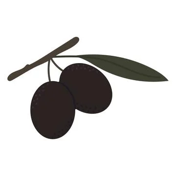 Minimalist vector illustration of two black olives on a small branch with lea Stock Illustration