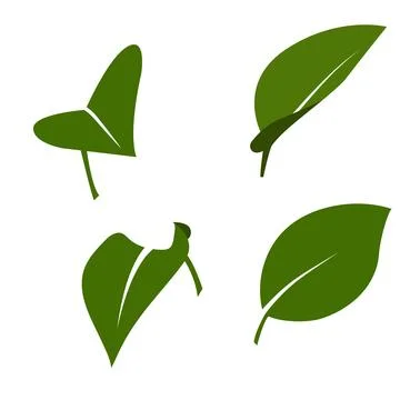 A minimalist vector set of stylized leaves in a modern, flat style Stock Illustration