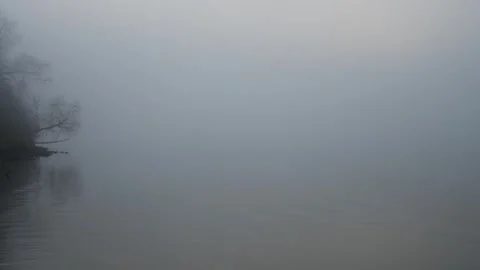 Minimalist view of small waves rippling in a fog-bound lake with small trees Stock Footage 328428130