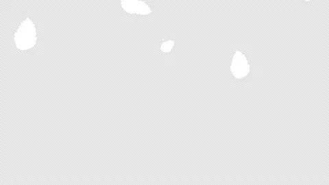 Minimalist white abstract feather patterns on dark background for modern design Stock Footage 341898317