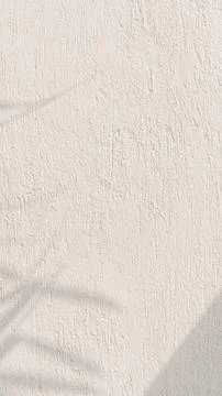 Minimalist, white background, botanical shadow Stock Photos