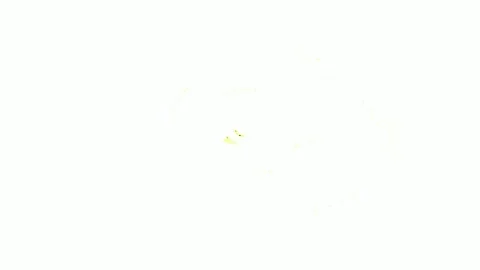 Minimalist white background seamless abstract space for modern clean design.. Stock Footage 337572841
