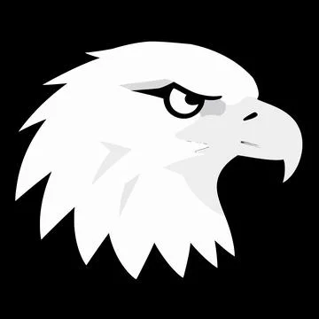 Minimalist White Bald Eagle Head Vector Illustration, Powerful American Bir.. 스톡 일러스트