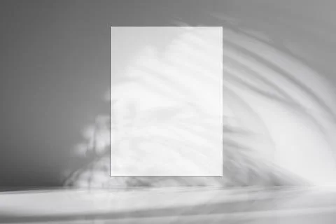 Minimalist white or grey background with a blank white poster, creating contr Stock Photos