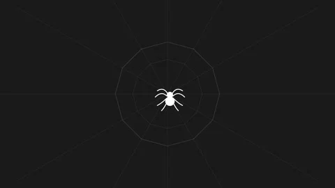 Minimalist White Spider Weaving Infinite Silk Web on Dark Gray Background Stock Footage 346612155