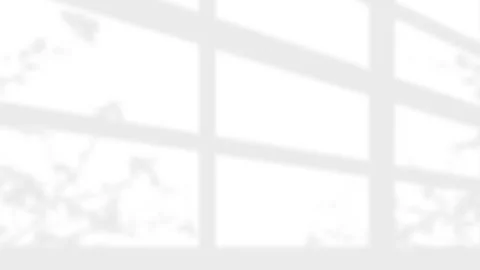 Minimalist White Wall Background with Soft Window Frame and Leaf Shadows. Видео 340880251