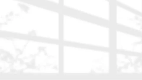 Minimalist window frame and leaf shadow overlay on white wall background. Stock Illustration