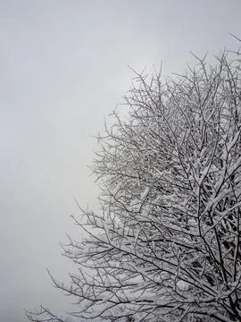 Minimalist winter background: snow texture and white gray copy space Stock Photos